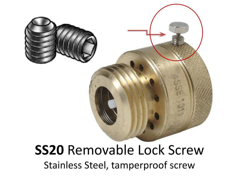 ss20 Removable Lock Screw, stainless steel, tamperproof screw