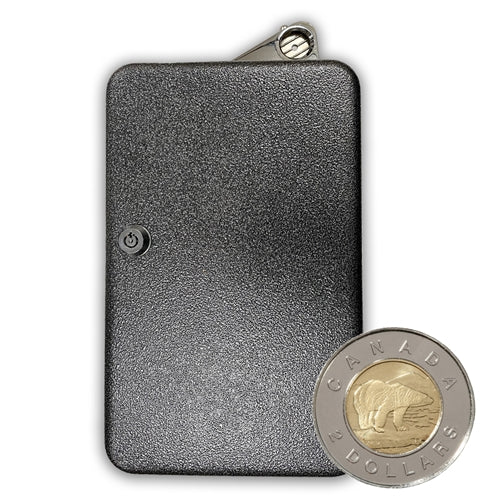 canadian toonie - shower timer Main